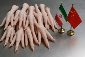 صادرات پای مرغ