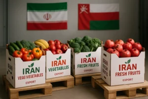 صادرات صیفی جات به عمان