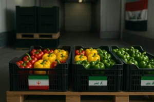صادرات فلفل دلمه ای به عراق