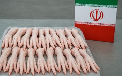 chicken-feet-export